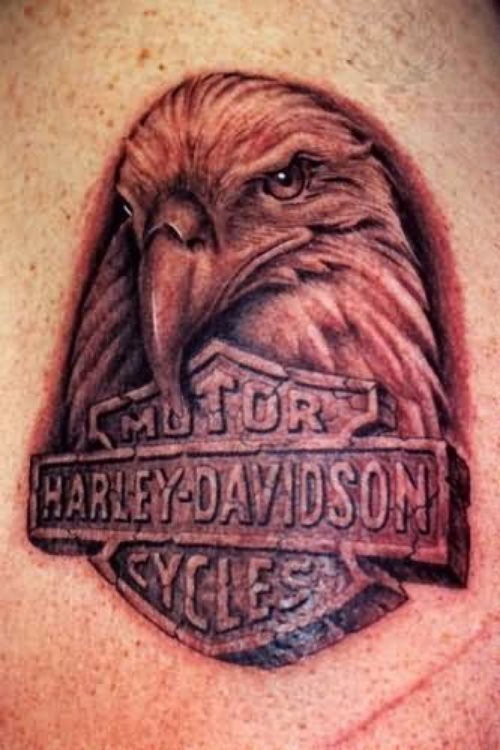 Harley Davidson Eagle Head Tattoo Image